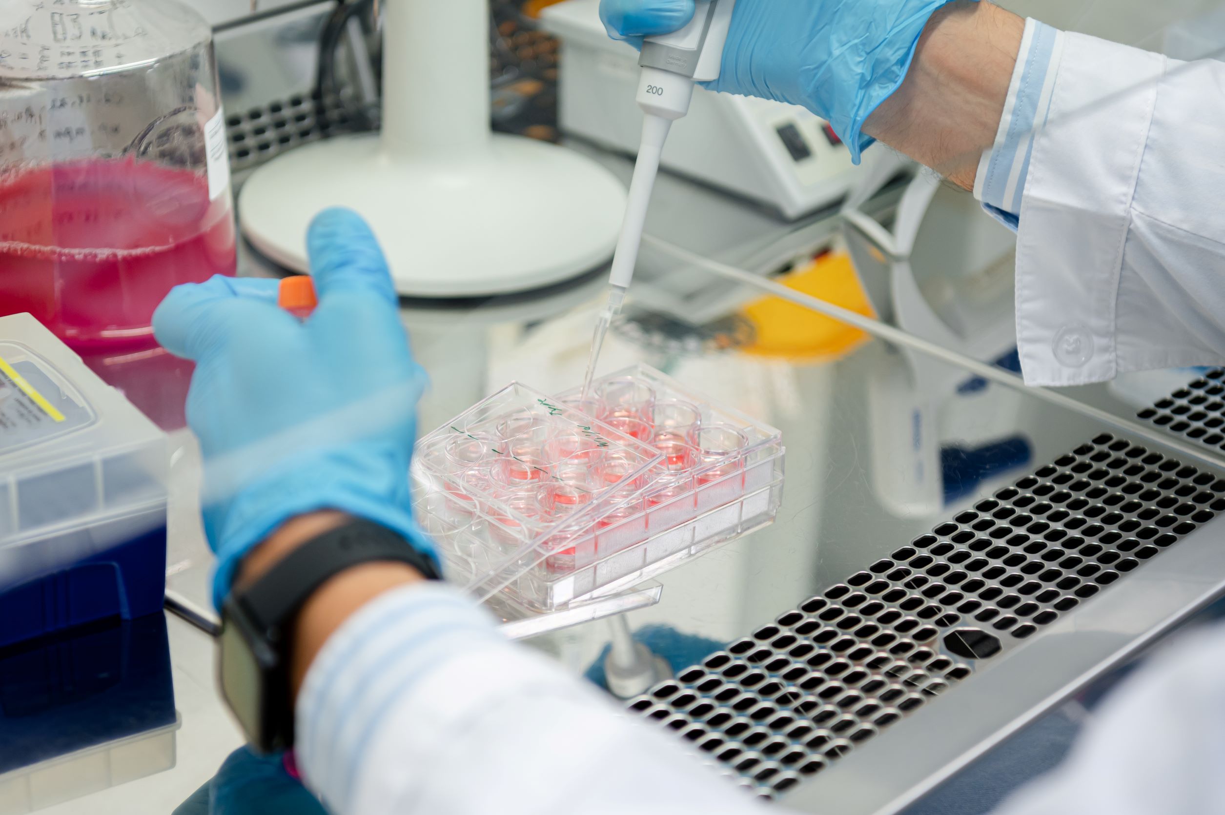 Международная школа по синтетической биологии «Сириус. ТехноГенетика»