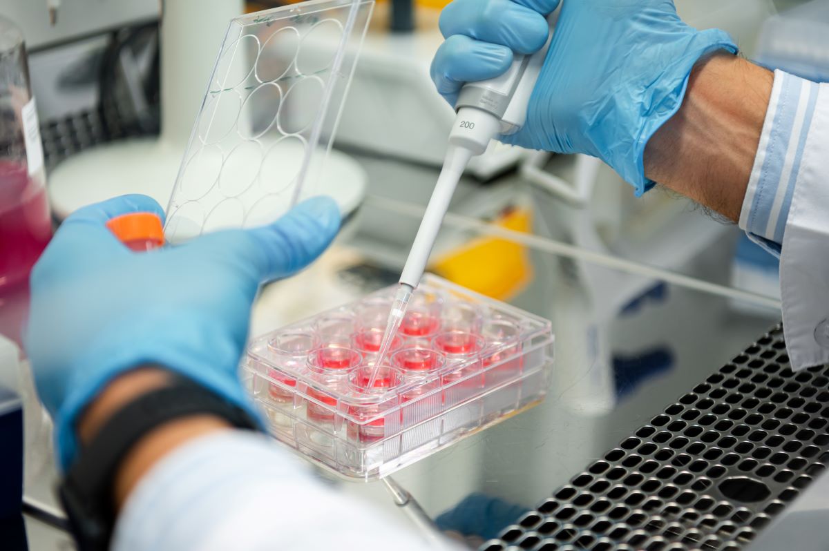 Новый класс лекарств могут создать ученые «Сириуса» и Jilin University