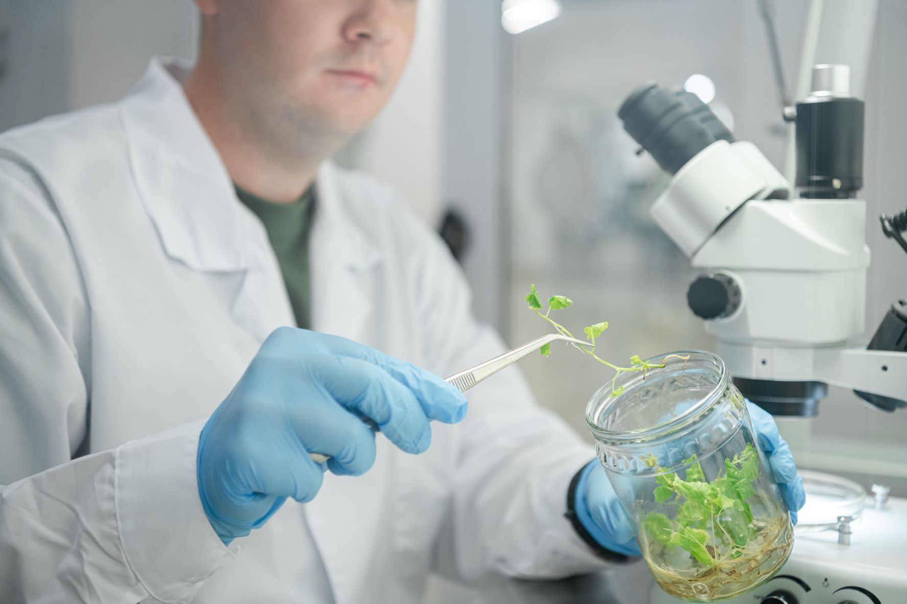 Промышленная биотехнология