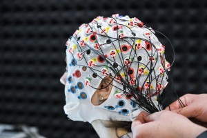 Междисциплинарные исследования мозга