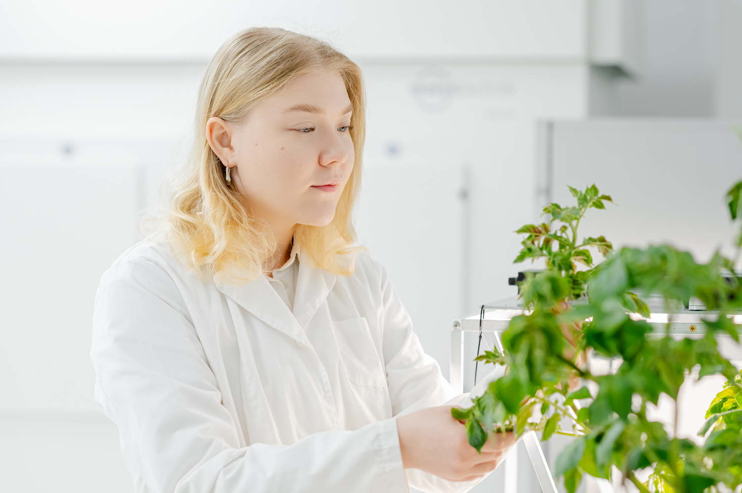 Генетика и биотехнология растений