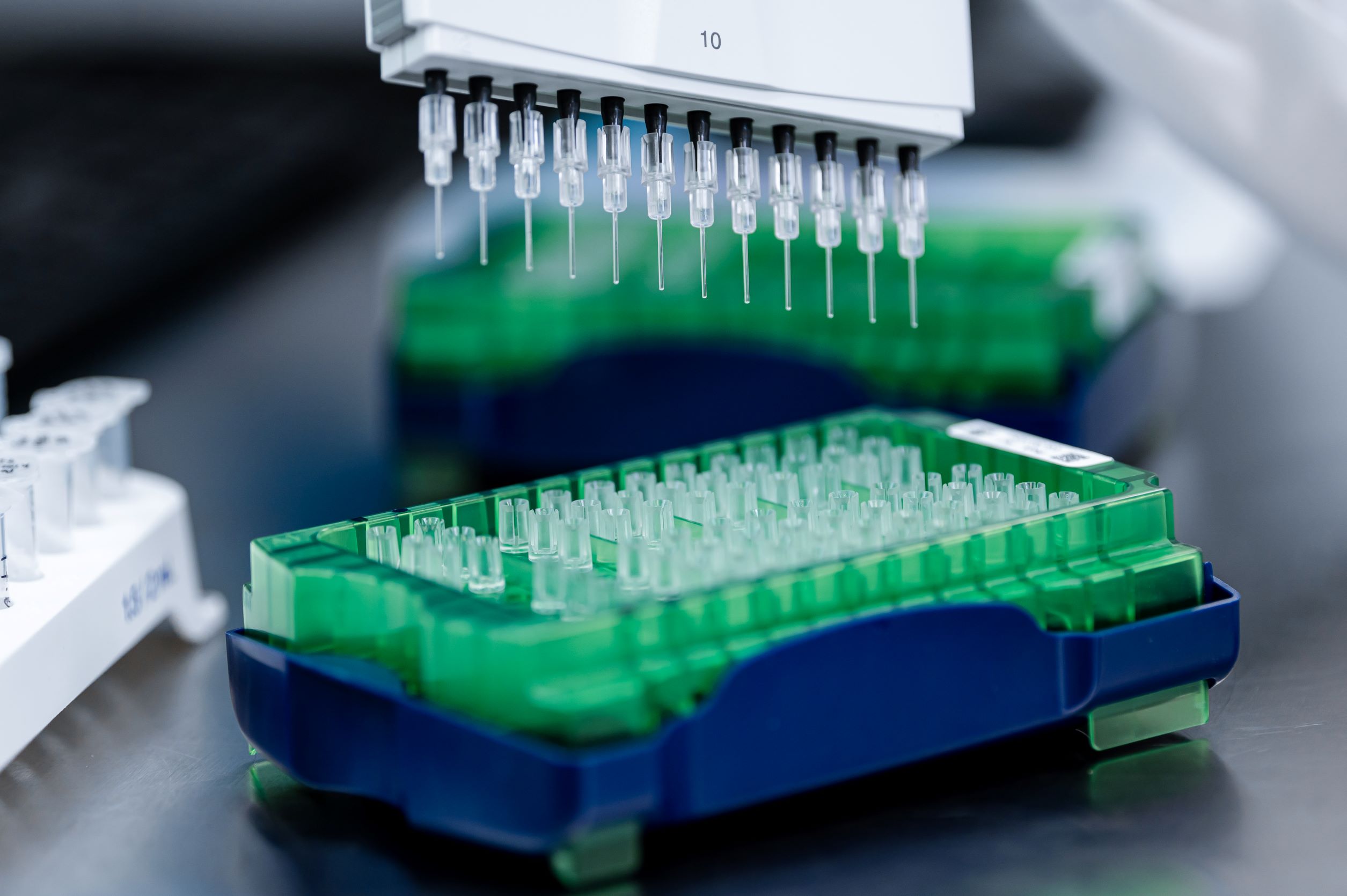 В Университете «Сириусе» нашли источник природного антибиотика против резистентных бактерий