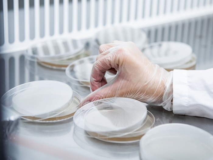 Генетика микроорганизмов и антимикробная терапия