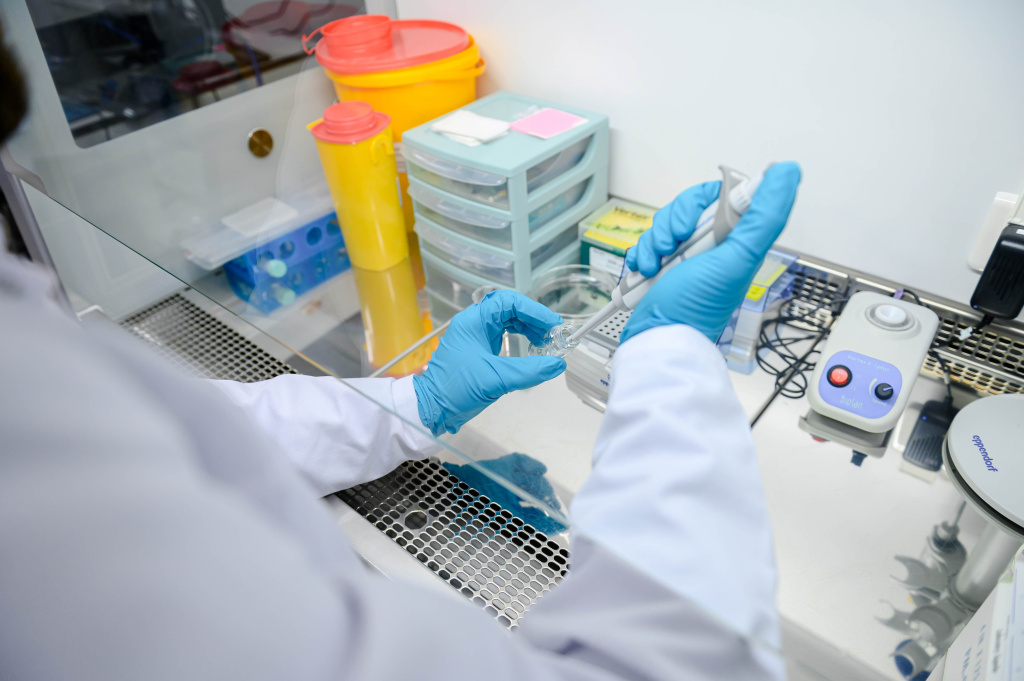 SIR_3261 -5654654.jpg