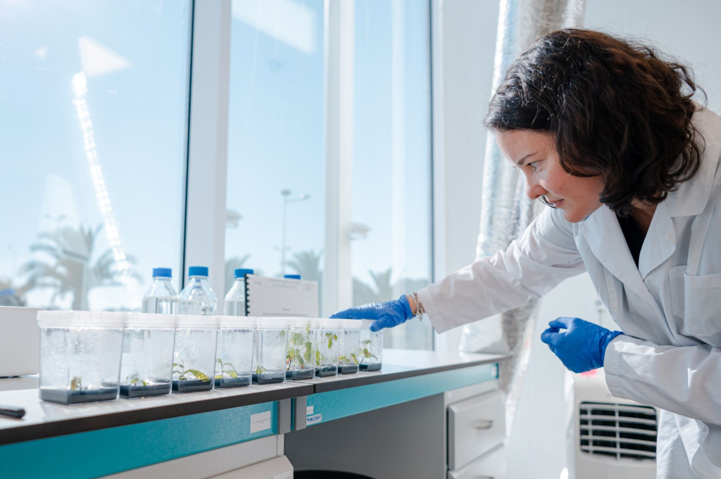 SIRIUS-110001-2.jpg SIRIUS-110001-2.jpg